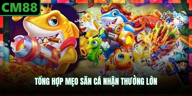 Tổng hợp mẹo săn cá nhận thưởng lớn